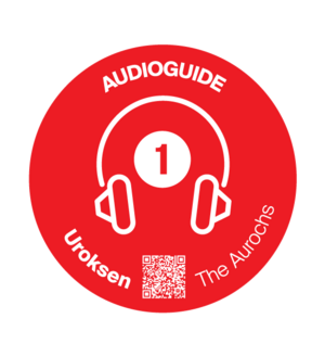 Audioguide