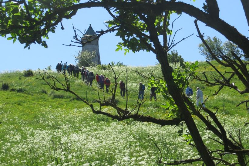 Historiske Vandringer