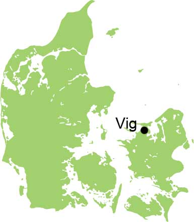Uroksen fra Vig