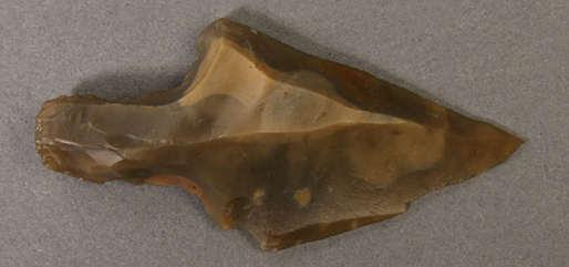 Indvandrerne. De første jægere, der kom til det, som nu er Danmark, kom sydfra. Det var rensdyrflokkene, som lokkede dem hertil. Pilespids i flint